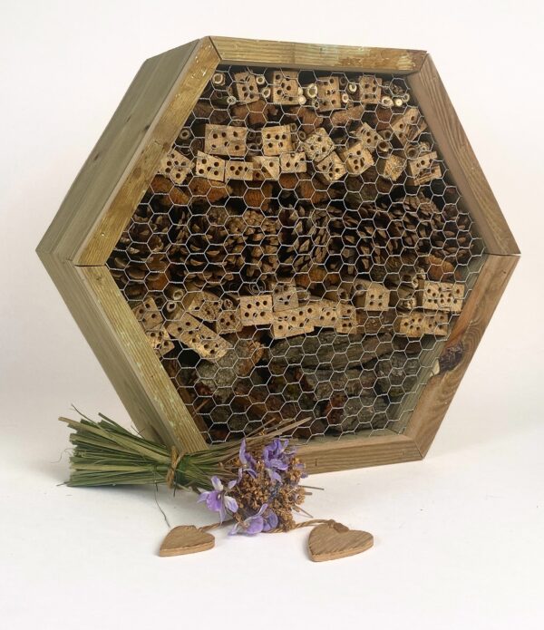 Insectenhotel - Afbeelding 3